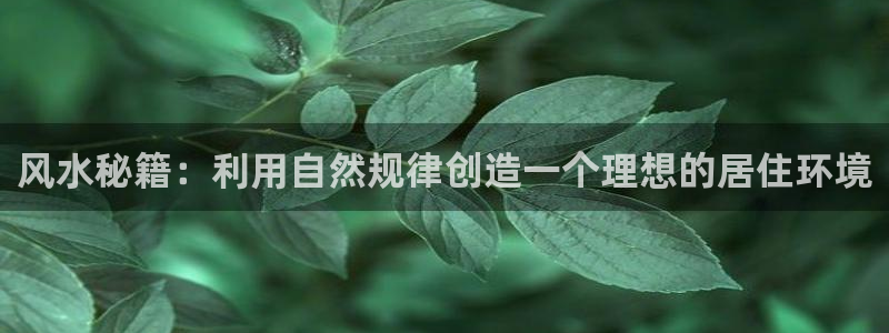 鸠摩搜书网站下载