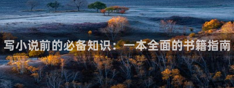 鸠摩搜书网页版