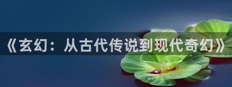 鸠摩搜书为什么有风险了