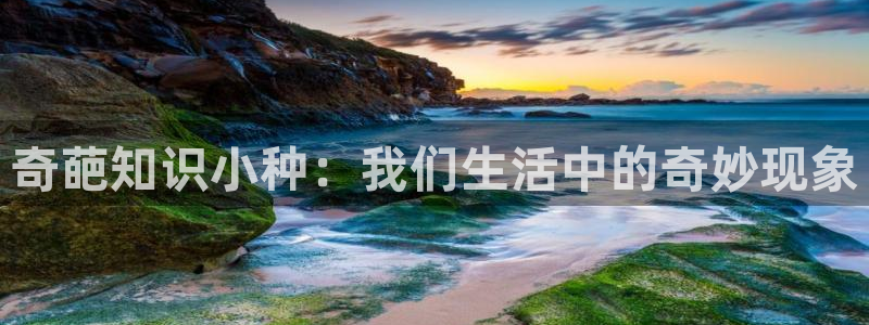 鸠摩搜书入口官网