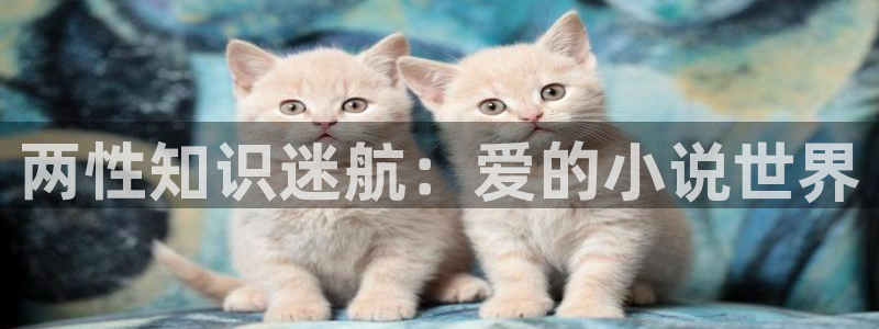 鸠摩搜书官网版app