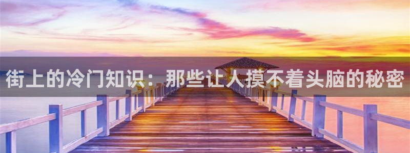 鸠摩搜书怎么下载电子书