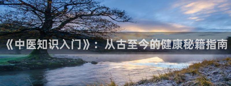 搜书网站鸠摩