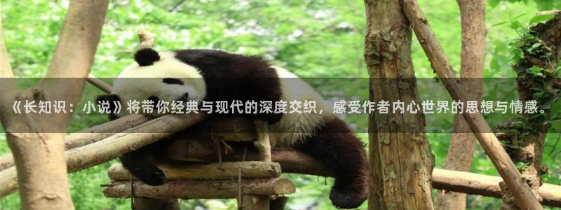 鸠摩搜书下载网站