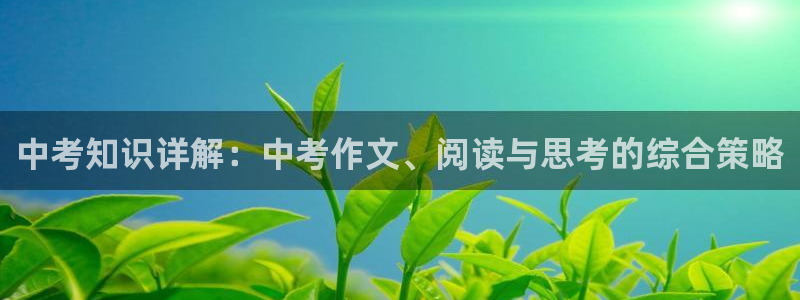 鸠摩搜书app